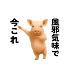 踊る！今これブタ（個別スタンプ：21）