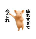 踊る！今これブタ（個別スタンプ：23）