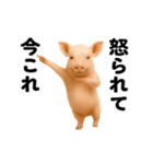 踊る！今これブタ（個別スタンプ：24）