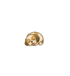 小さな面白ワンちゃんが大暴れ☆（個別スタンプ：20）