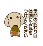 優しい気づかい ダックスフンド-犬好き 秋（個別スタンプ：1）