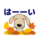 優しい気づかい ダックスフンド-犬好き 秋（個別スタンプ：3）