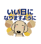 優しい気づかい ダックスフンド-犬好き 秋（個別スタンプ：5）
