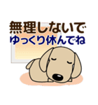 優しい気づかい ダックスフンド-犬好き 秋（個別スタンプ：9）