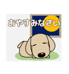 優しい気づかい ダックスフンド-犬好き 秋（個別スタンプ：11）