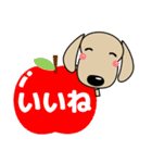 優しい気づかい ダックスフンド-犬好き 秋（個別スタンプ：17）