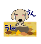 優しい気づかい ダックスフンド-犬好き 秋（個別スタンプ：24）