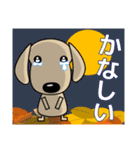 優しい気づかい ダックスフンド-犬好き 秋（個別スタンプ：31）