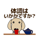 優しい気づかい ダックスフンド-犬好き 秋（個別スタンプ：33）