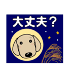 優しい気づかい ダックスフンド-犬好き 秋（個別スタンプ：35）