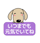 優しい気づかい ダックスフンド-犬好き 秋（個別スタンプ：36）
