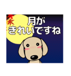 優しい気づかい ダックスフンド-犬好き 秋（個別スタンプ：39）