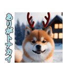 飛び出す★冬を感じる柴犬_挨拶（個別スタンプ：3）