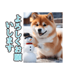 飛び出す★冬を感じる柴犬_挨拶（個別スタンプ：5）