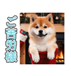 飛び出す★冬を感じる柴犬_挨拶（個別スタンプ：7）