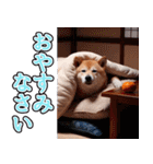飛び出す★冬を感じる柴犬_挨拶（個別スタンプ：8）
