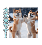 飛び出す★冬を感じる柴犬_挨拶（個別スタンプ：11）