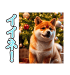 飛び出す★冬を感じる柴犬_挨拶（個別スタンプ：12）