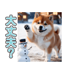 飛び出す★冬を感じる柴犬_挨拶（個別スタンプ：15）