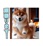 飛び出す★冬を感じる柴犬_挨拶（個別スタンプ：18）