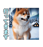 飛び出す★冬を感じる柴犬_挨拶（個別スタンプ：20）