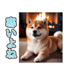 飛び出す★冬を感じる柴犬_挨拶（個別スタンプ：22）