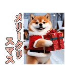 飛び出す★冬を感じる柴犬_挨拶（個別スタンプ：23）