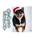 背景が動く★冬を感じる_黒柴（個別スタンプ：4）