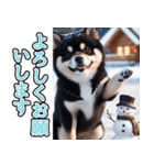 飛び出す★冬を感じる黒柴_挨拶（個別スタンプ：5）