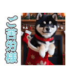 飛び出す★冬を感じる黒柴_挨拶（個別スタンプ：7）
