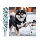 飛び出す★冬を感じる黒柴_挨拶（個別スタンプ：11）