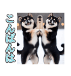 飛び出す★冬を感じる黒柴_挨拶（個別スタンプ：14）