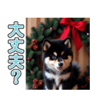 飛び出す★冬を感じる黒柴_挨拶（個別スタンプ：15）