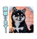 飛び出す★冬を感じる黒柴_挨拶（個別スタンプ：18）