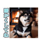 飛び出す★冬を感じる黒柴_挨拶（個別スタンプ：21）
