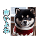 飛び出す★冬を感じる黒柴_挨拶（個別スタンプ：22）