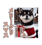 飛び出す★冬を感じる黒柴_挨拶（個別スタンプ：23）