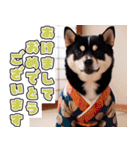 飛び出す★冬を感じる黒柴_挨拶（個別スタンプ：24）