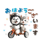 秋 残暑 日常♡シベリアンハスキーとネコ（個別スタンプ：1）