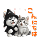 秋 残暑 日常♡シベリアンハスキーとネコ（個別スタンプ：2）