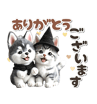 秋 残暑 日常♡シベリアンハスキーとネコ（個別スタンプ：9）