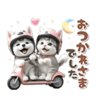 秋 残暑 日常♡シベリアンハスキーとネコ（個別スタンプ：14）