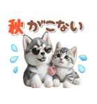 秋 残暑 日常♡シベリアンハスキーとネコ（個別スタンプ：18）