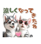 秋 残暑 日常♡シベリアンハスキーとネコ（個別スタンプ：19）