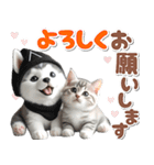 秋 残暑 日常♡シベリアンハスキーとネコ（個別スタンプ：21）