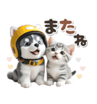 秋 残暑 日常♡シベリアンハスキーとネコ（個別スタンプ：32）