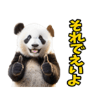 高知・土佐弁☆パンダ（個別スタンプ：20）