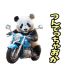 高知・土佐弁☆パンダ（個別スタンプ：31）