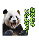 高知・土佐弁☆パンダ（個別スタンプ：34）
