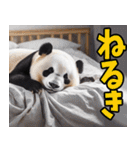 高知・土佐弁☆パンダ（個別スタンプ：37）